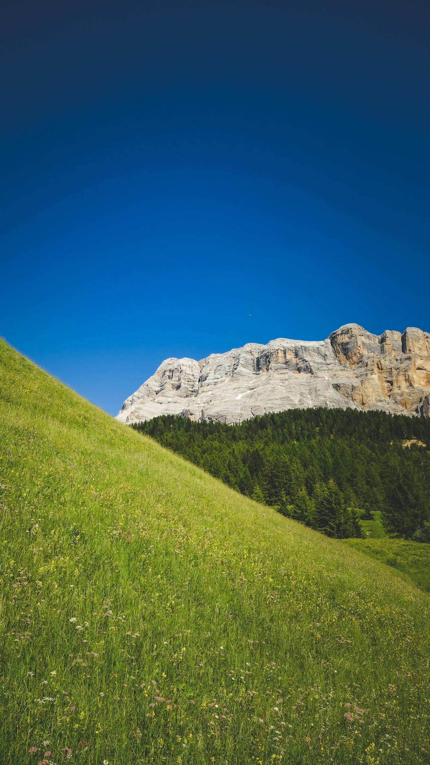 Green Valley View