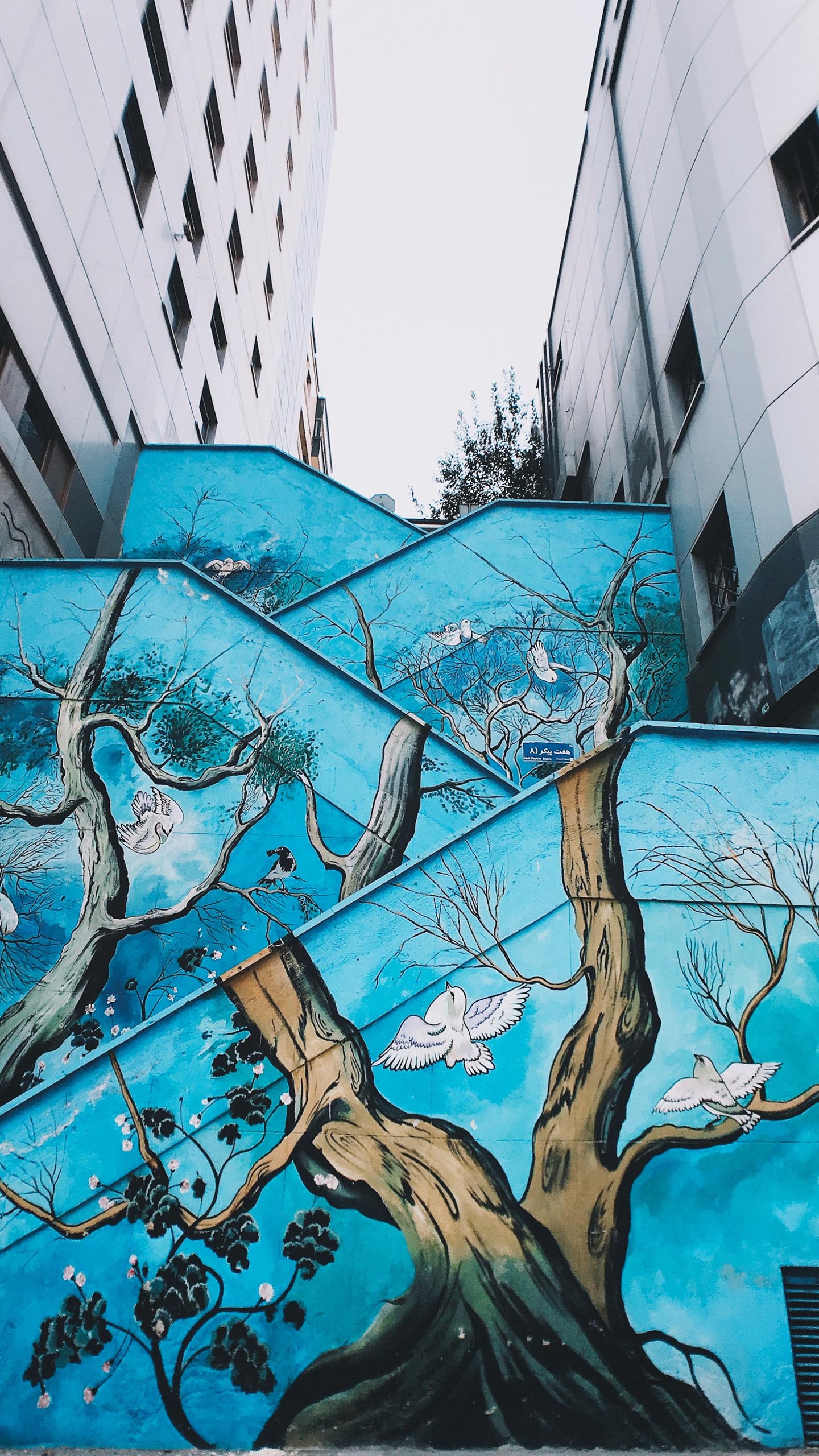 Quirky Wall Wonders