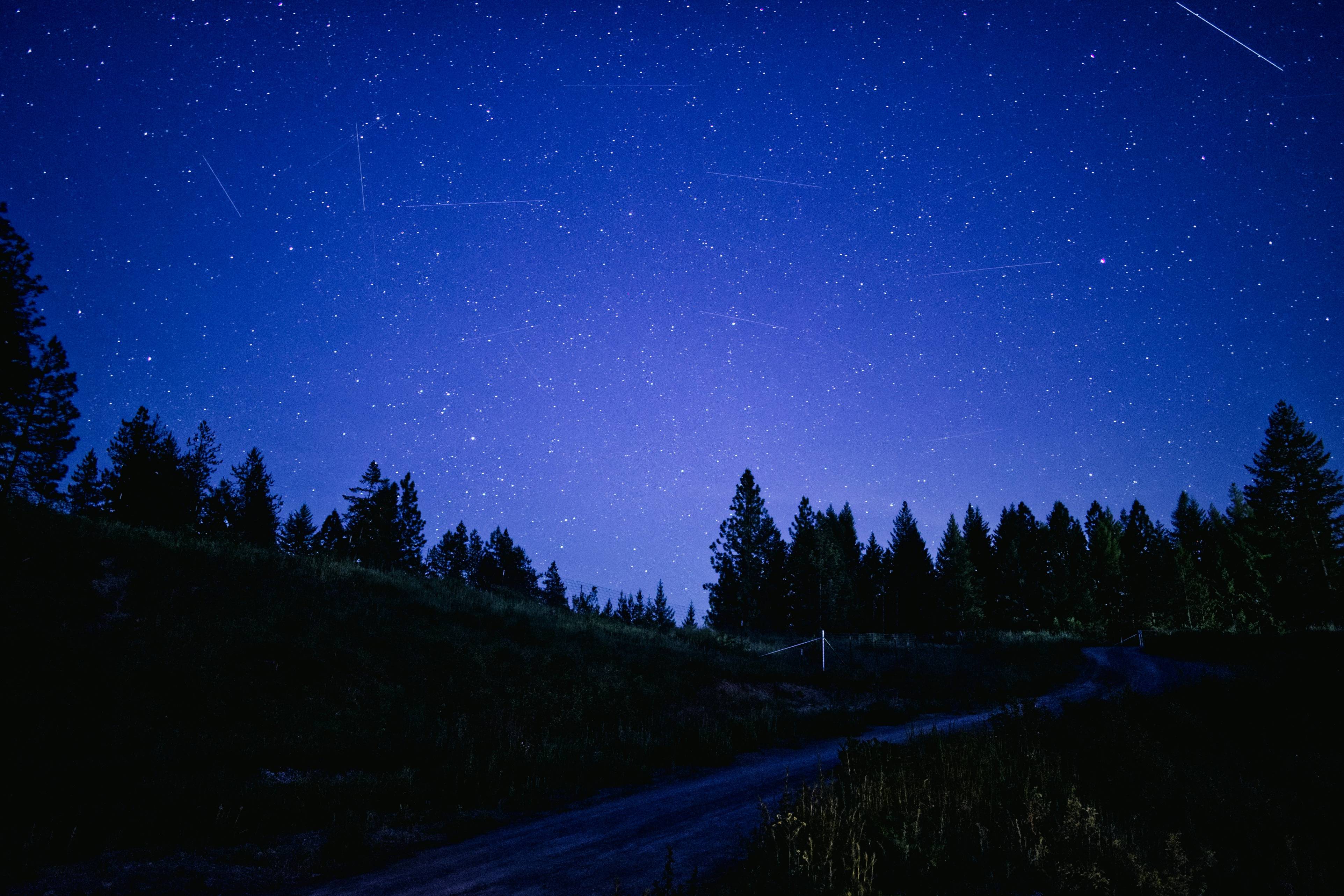 the night sky with stars above a forest
