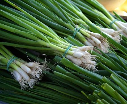 10 Incredible Health Benefits of Spring Onions