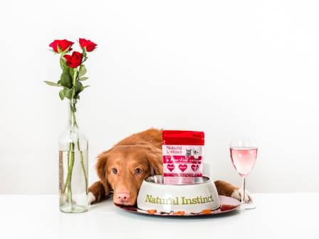 6 MUST HAVE PRODUCTS FOR PET OWNERS