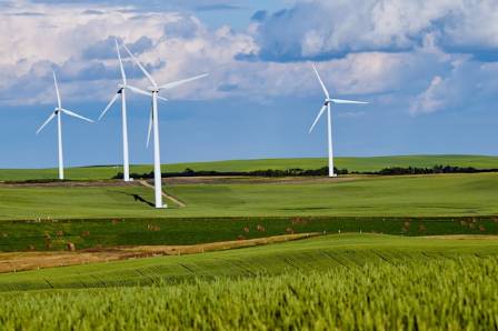 Top 4: Most Popular Renewable Energy Sources