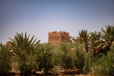 Morocco’s Little Switzerland: Ifrane & Azrou Cedar Forest Day Trip