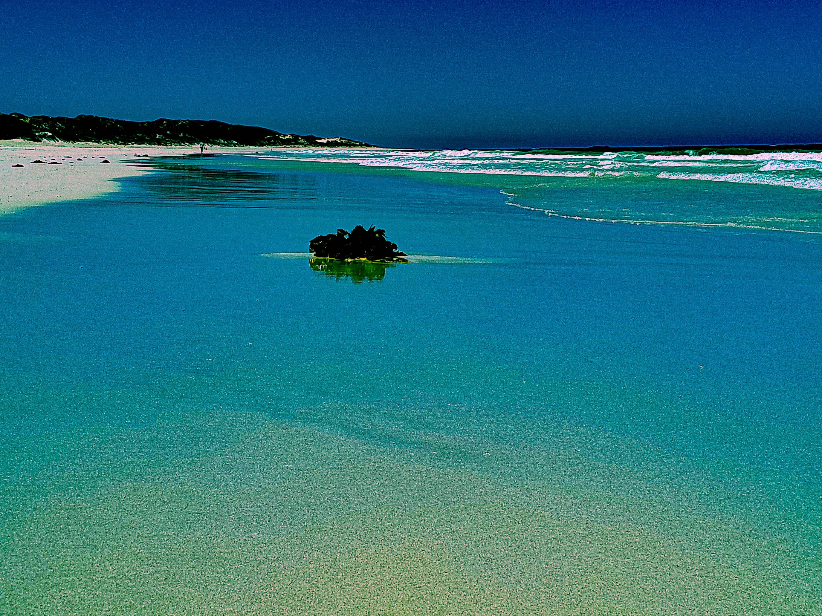 a sandy beach next to the ocean under a blue sky