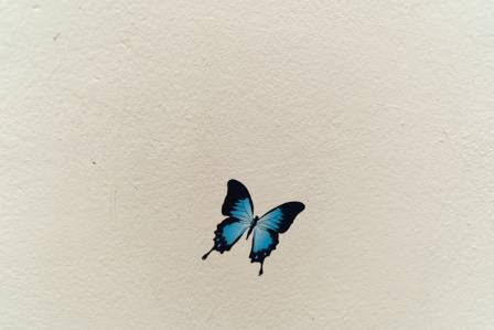 Beginner's Guide to Acrylic Painting: Capturing a Monarch Butterfly