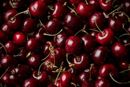 7 Expert Tips for Cherry Picking in Tasmania (2025 Ultimate Guide)